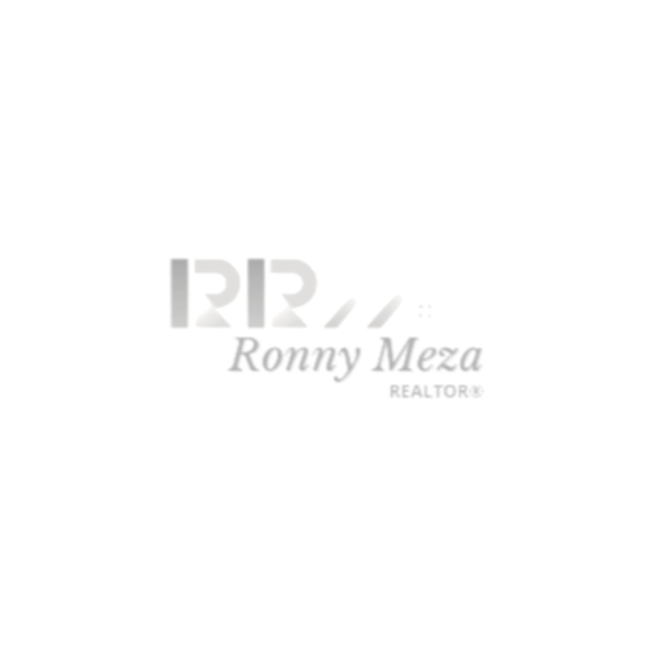 ASESORIA /RONNY MEZA